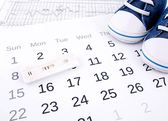 Adet Dönemi Hesaplama Yöntemi